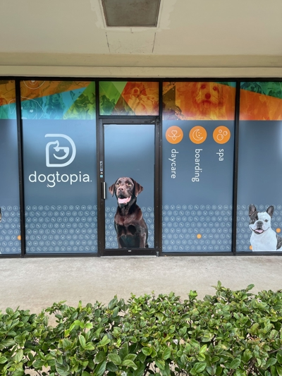 Window Graphics Photo