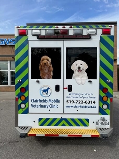 Vehicle Graphics Photo