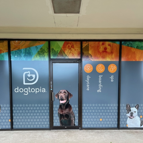 Window Graphics