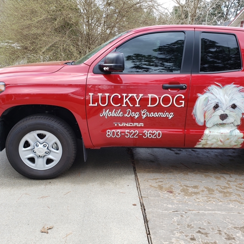 Vehicle Graphics & Wraps