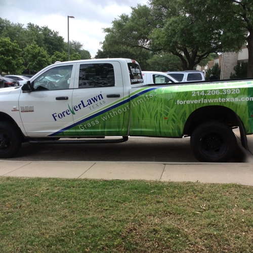 Vehicle Graphics