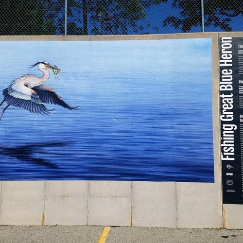 Exterior Wall Wrap