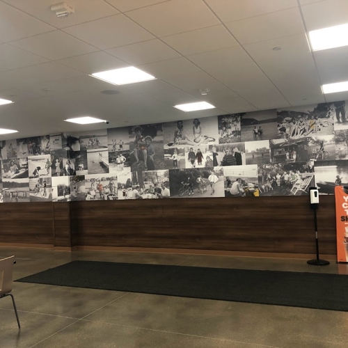Interior Wall Graphic