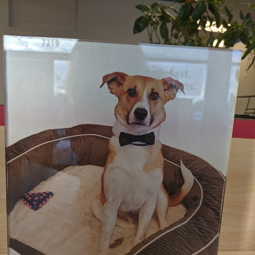 Custom Signs