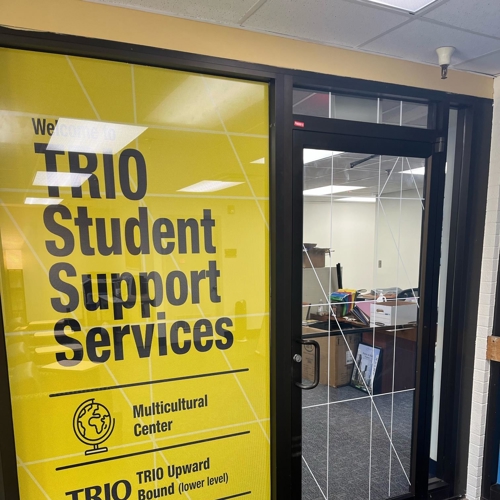 Window & Wall Graphics
