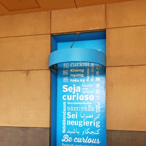 Museum Wall Graphic