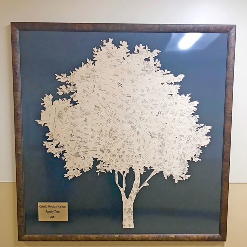 Family Tree Fine Art Prints