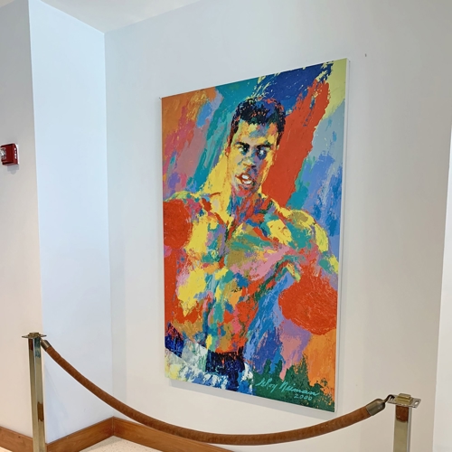Fine Art Displays
