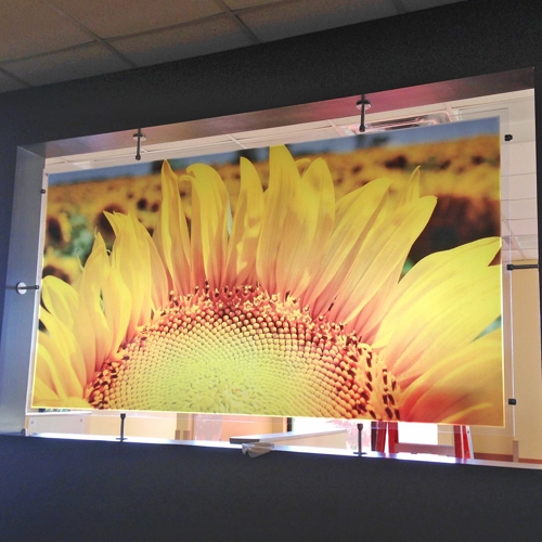 Fine Art Prints
