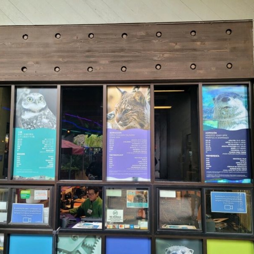 Window Graphics