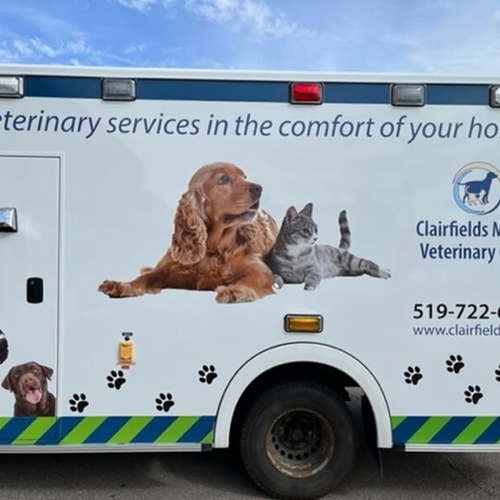 Vehicle Graphics