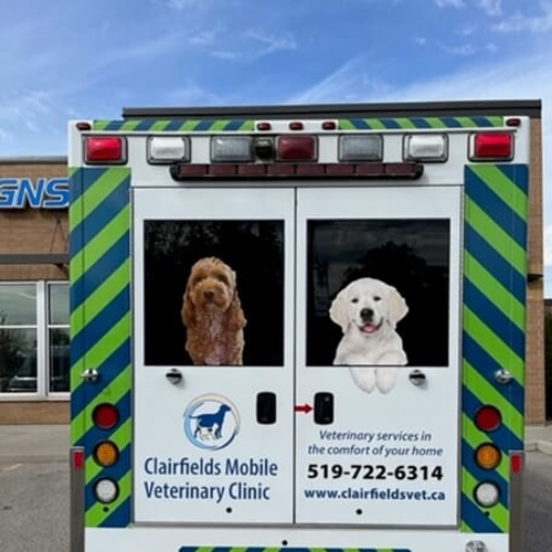Vehicle Graphics