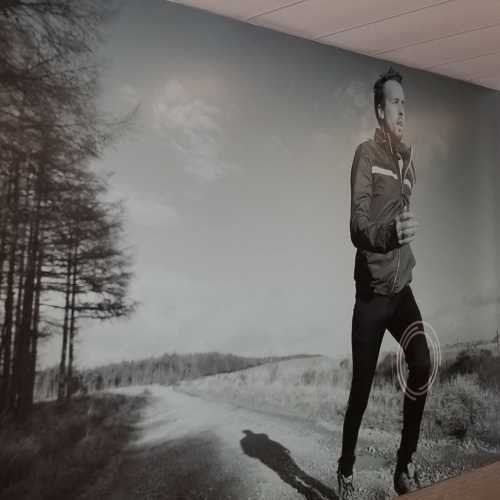 Window & Wall Graphics