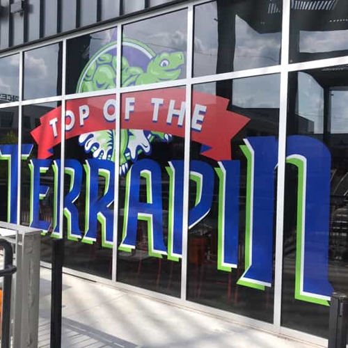Window Graphics