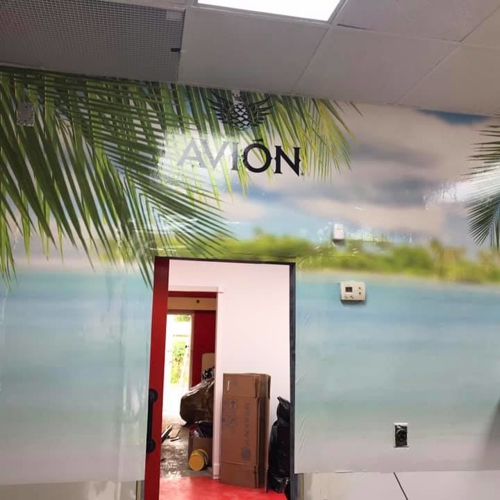 Window & Wall Graphics