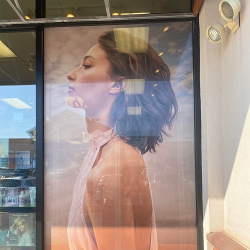 Window & Wall Graphics