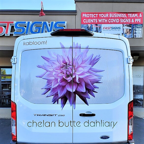 Vehicle Graphics