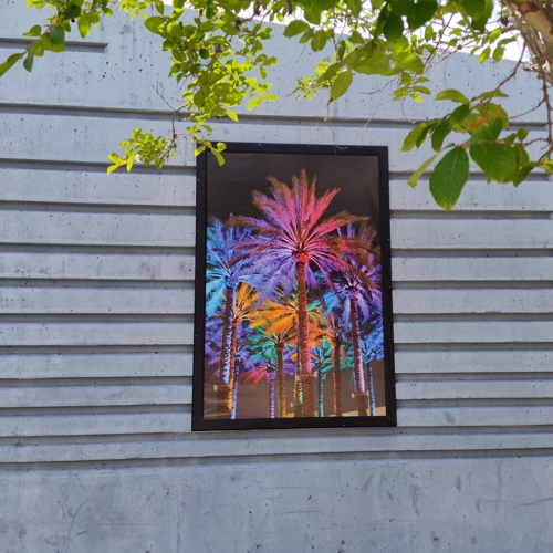Custom Signs & Banners