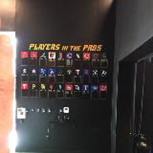 Players in the pros wall mural