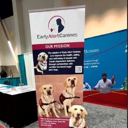 Banner stand