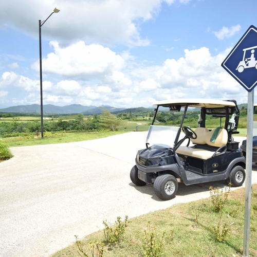 Golf Cart Signage