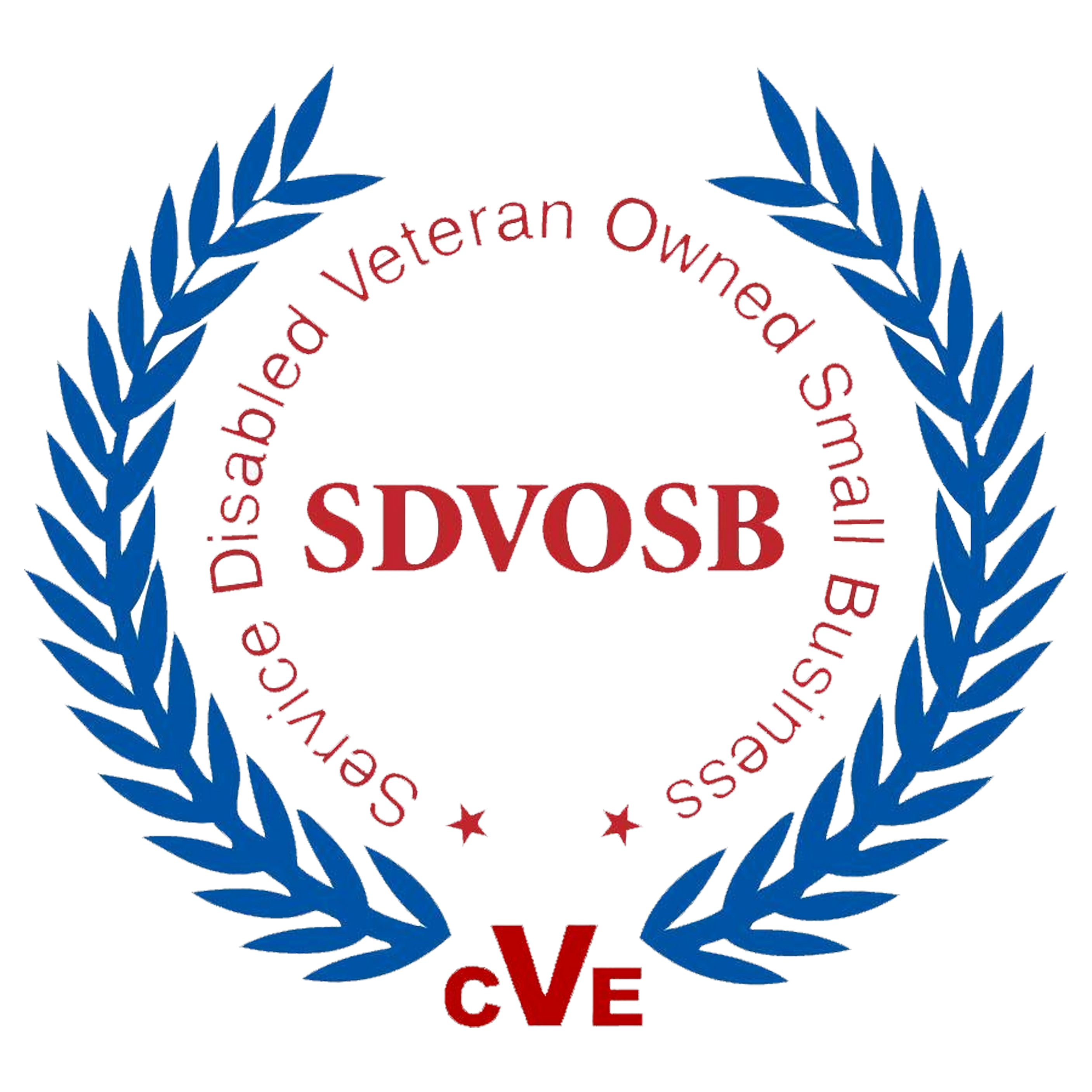 Service Disabled Veteran Owned Small Business