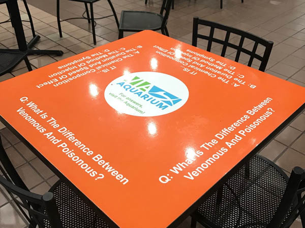 The VIA Aquarium table