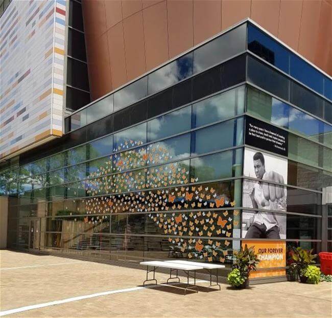 Muhammad Ali Center Window Graphics