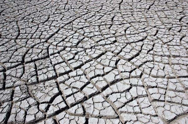 cracks in the ground