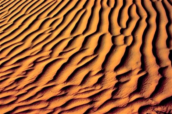 waves in the sand