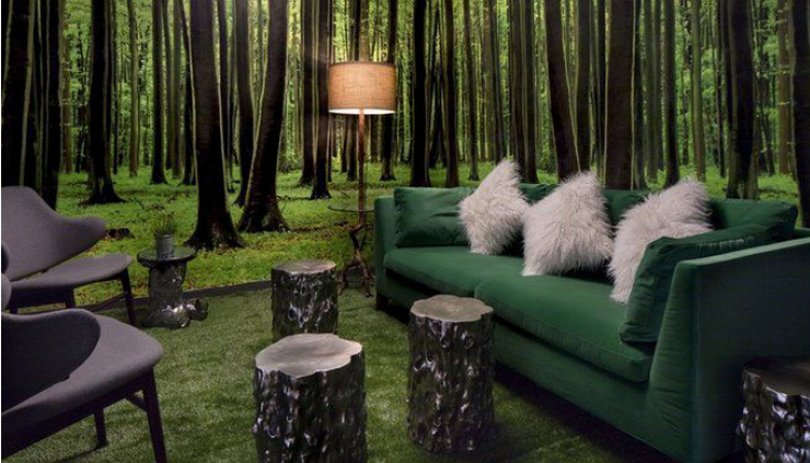 a room is themed like a forrest