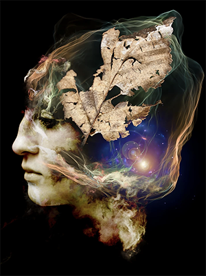 an image of a person's head with a leaf over it