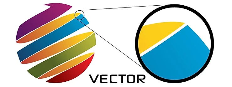 a vector image