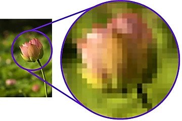 a pixelized image of a flower