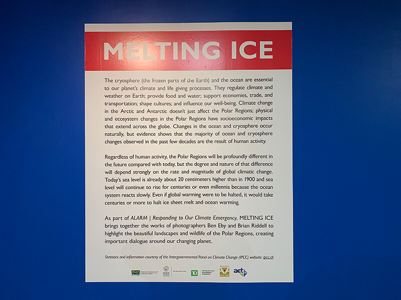 Melting Ice signage on the wall