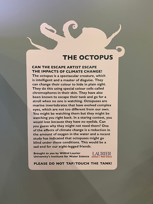 The octopus custom sign with description