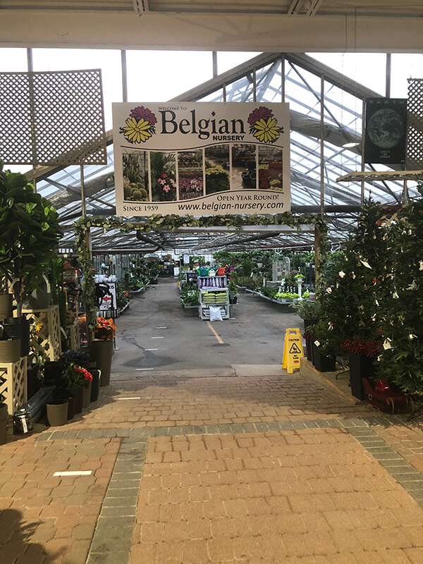 Belgian nursery pathway